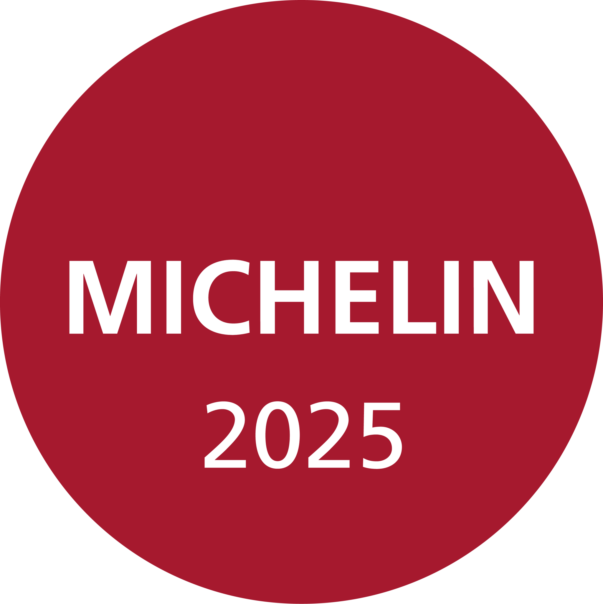 Michelin Logo
